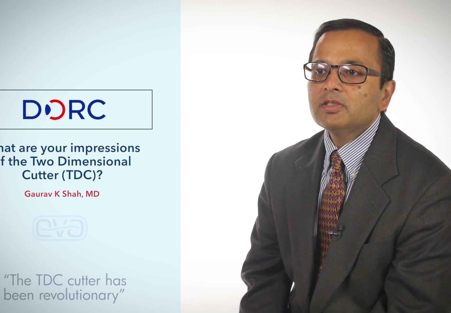 Gaurav K Shah, MD, USA, describes his experience and impression of EVA